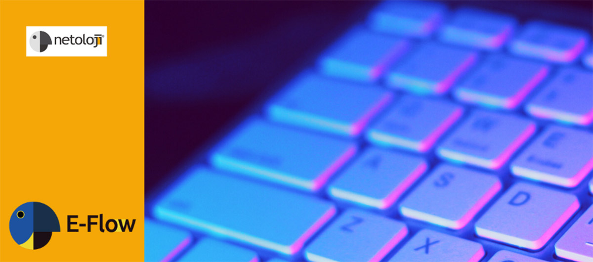 Digital Transformation to Overcome the Crisis (Co-author: Tolga Güler – Netoloji Canada)