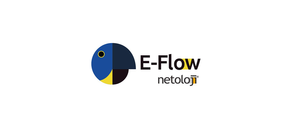 Q&A: E-Flow Business Process Management (BPM) Solution